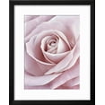 thumbnail image 2 of Pink Rose, Botanical Framed Art Print Wall Art by Cora Niele Sold by Art.Com, 2 of 5