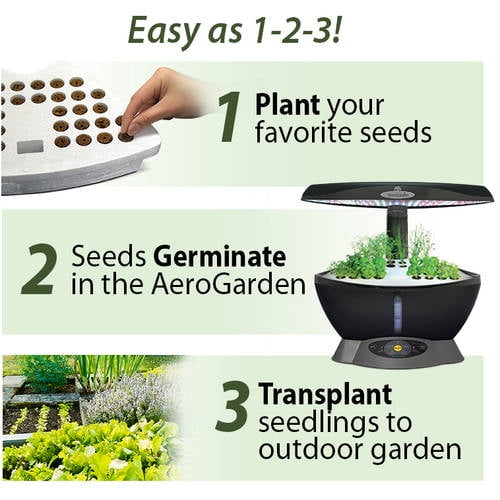 Aerogarden Classic 7 / Gourmet Herb Seed Kit 6 7 Pod Aerogarden