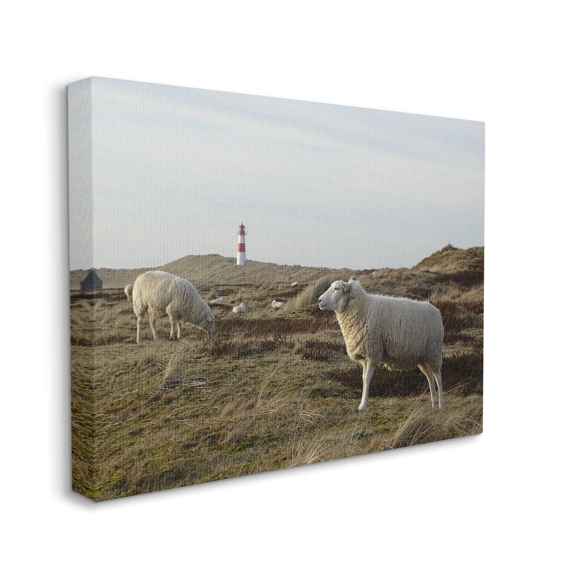 Stupell Industries Grazing Sheep Peaceful Grassland Hills Distant Lighthouse Photograph Gallery Wrapped Canvas Print Wall Art, Design by Daphne Polselli