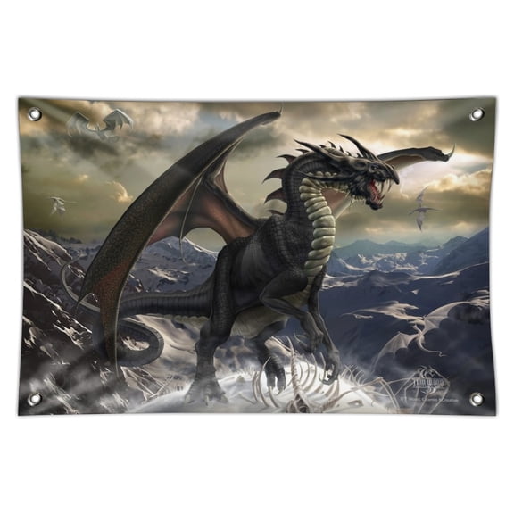Rogue Dragon Winter Mountain Top Home Business Office Sign