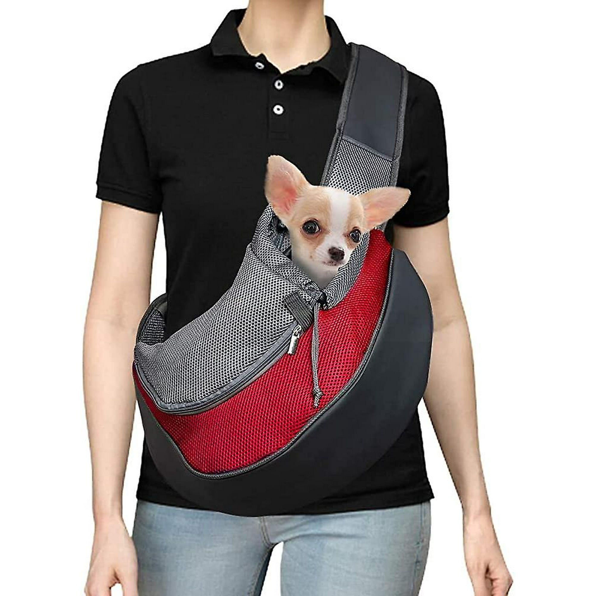 Dog carrier service 2025