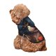 thumbnail image 5 of Balery Cute Colorful Flower French Bulldog Sudadera con Capucha para Perros Pequeños – Ropa para Mascotas, Disfraz para Perros y Gatos, Ideal para Fiestas y Cosplay-Medium, 5 of 7