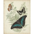 thumbnail image 2 of Vision Studio 15x18 White Modern Wood Framed Museum Art Print Titled - Butterflies and Ferns II, 2 of 4