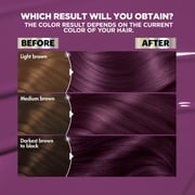 Garnier Nutrisse Nourishing Hair Color Creme, P2 Intense Purple