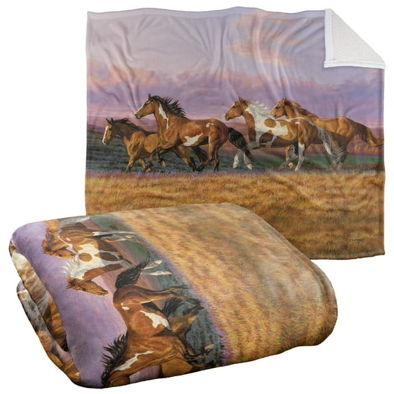Wild Wings Blanket, 50"x60", Sunset Cruise 2 Silky Touch Sherpa Back Super Soft Throw Blanket