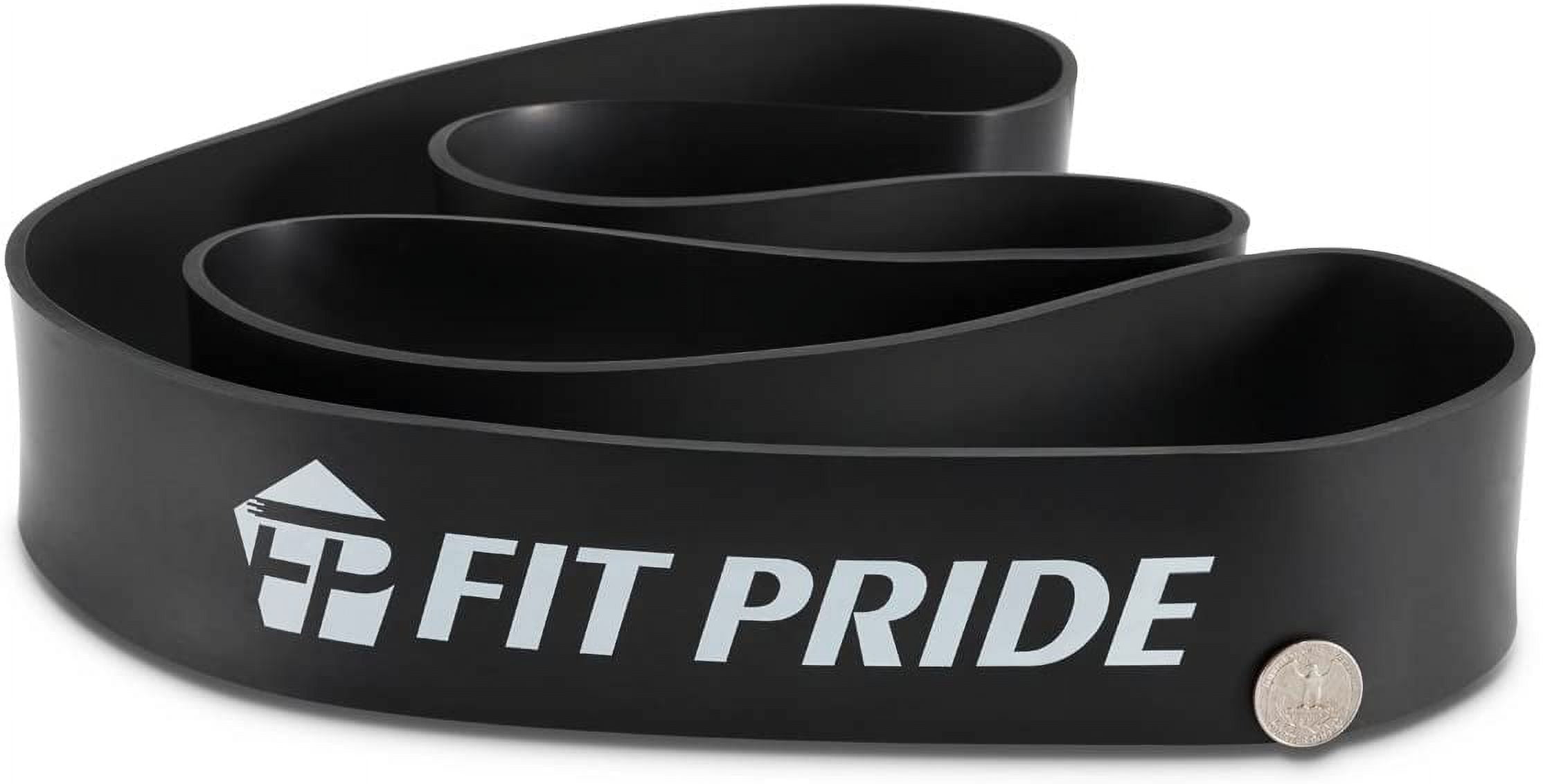 FIT PRIDE Resistance Band for Pull Up Exercise Stretchable Increase Mobility for Powerlifting Great for Workout Includes Free Fitness Guide (Black)