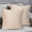 Beige, variant on NWOKYZGH 1 Pack Velvet Cozy Decorative Throw Pillow 18x18 Soft Cushion for Couch Sofa Bed