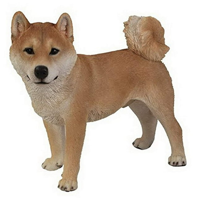 Hi-Line Gift Ltd Statue de Chien Shiba Inu