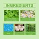 thumbnail image 4 of Oralhoe Bamboo Fresh Breath Mouthwash Teeth Cleaning Care To Remove Odors Repair Gums Fresh Breath, 4 of 5