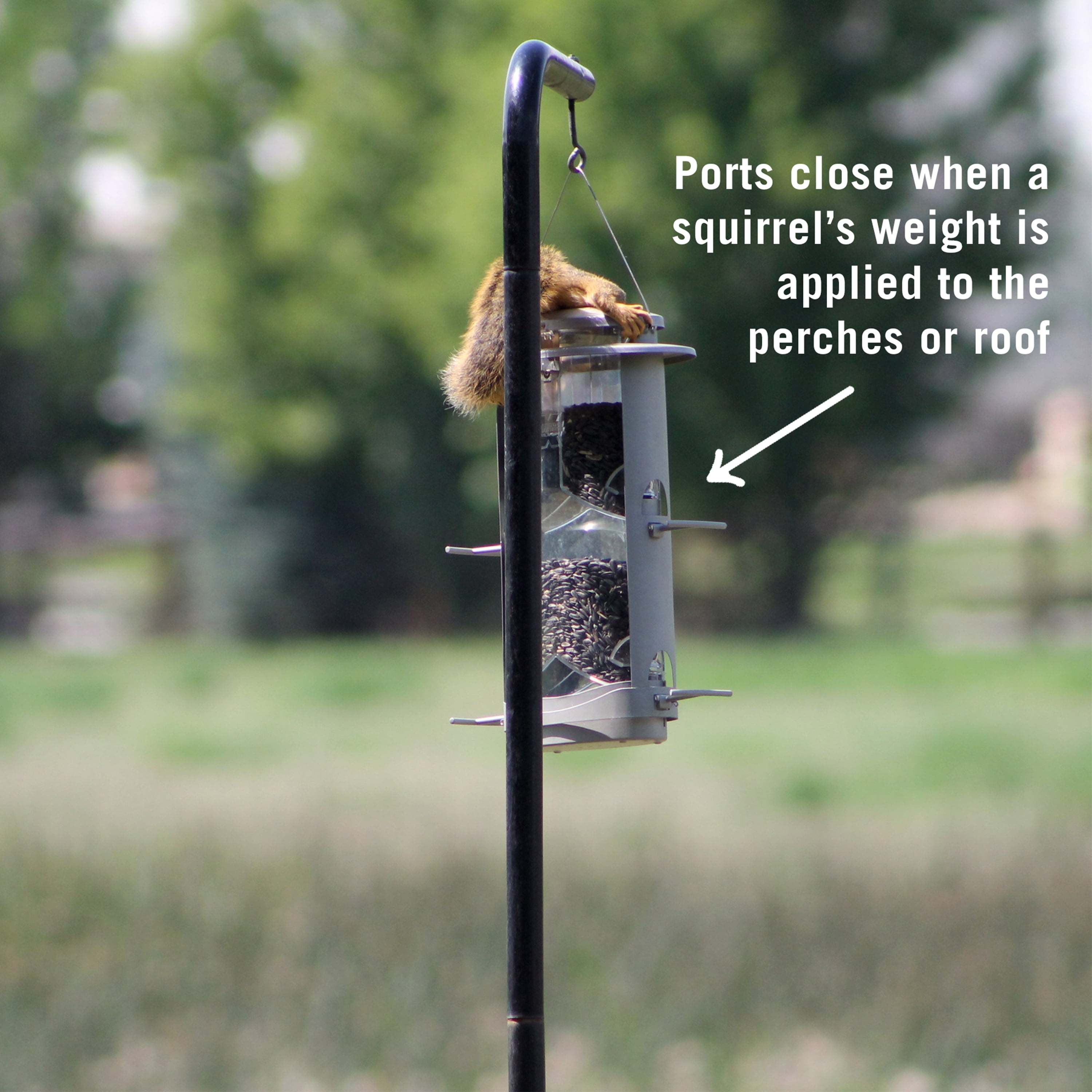Squirrel-X X1 Squirrel-Resistant Bird Feeder with Spring-Loaded Perches -  4.2 lb