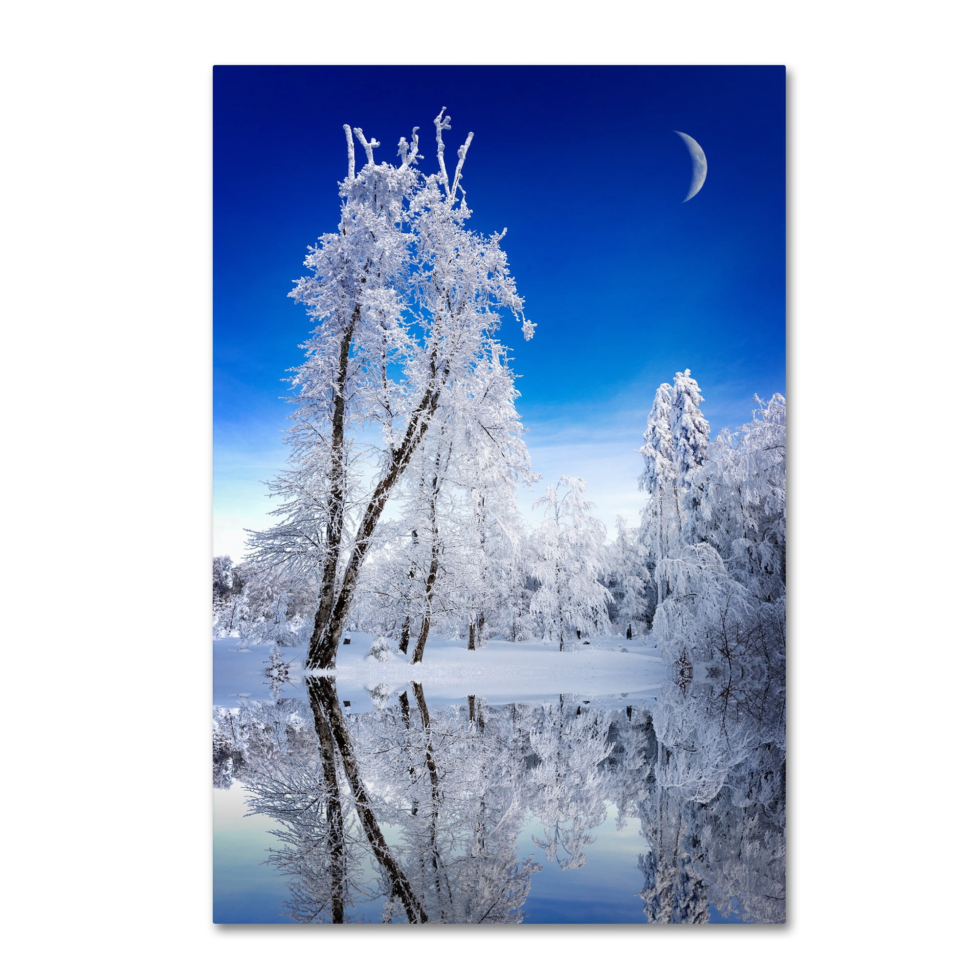 Trademark Fine Art "Emotive Ballad Canvas Art" Canvas Art by Philippe Sainte-Laudy