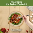 thumbnail image 5 of Sugarfiber Disposable 9 inch Compostable Round bagasse Paper Plates 50 Count, 5 of 7