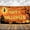 Yellow, variant on KatchOn, XtraLarge Spooky Halloween Backdrop - 72x44 Inch | Halloween Pumpkin Banner for Pumpkin Halloween Decorations | Halloween Photo Backdrop | Halloween Banner for Halloween Party Decorations