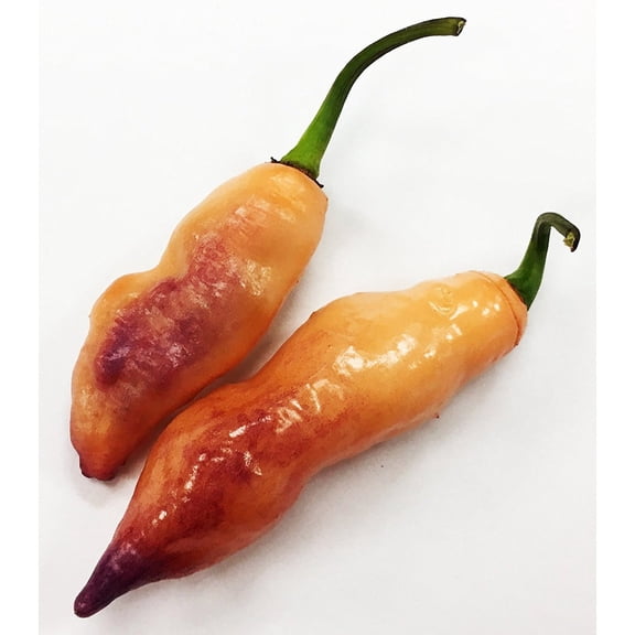 Pink Tiger Pepper Premium Seeds Packet