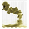 thumbnail image 2 of Ambesonne Floral Shower Curtain, Orchid Composition Garden, 69"Wx75"L, Khaki White, 2 of 4