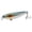 D 12g, variant on Fishing Lures Topwater Pencil 6g/12g Hard Baits - Walk The Dog Treble Hook Artificial Saltwater Baits