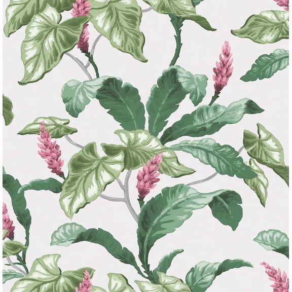 Brewster Home Fashions Meridian Parade Green Tropical Leaves Wallpaper