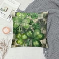 thumbnail image 2 of Leisuo St. Patrick’s Day Spring Pillow Covers Lucky Charm Kisses Clovers Shamrocks Leaves Pillow Cover Grey Buffalo Plaid Farmhouse Decorations Cushion Case, 2 of 5