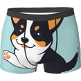 thumbnail image 1 of SEVEBJ Men's Boxer Briefs & Trunks Stretch Underwear Boxer Briefs Modern Underwear, 1 of 9