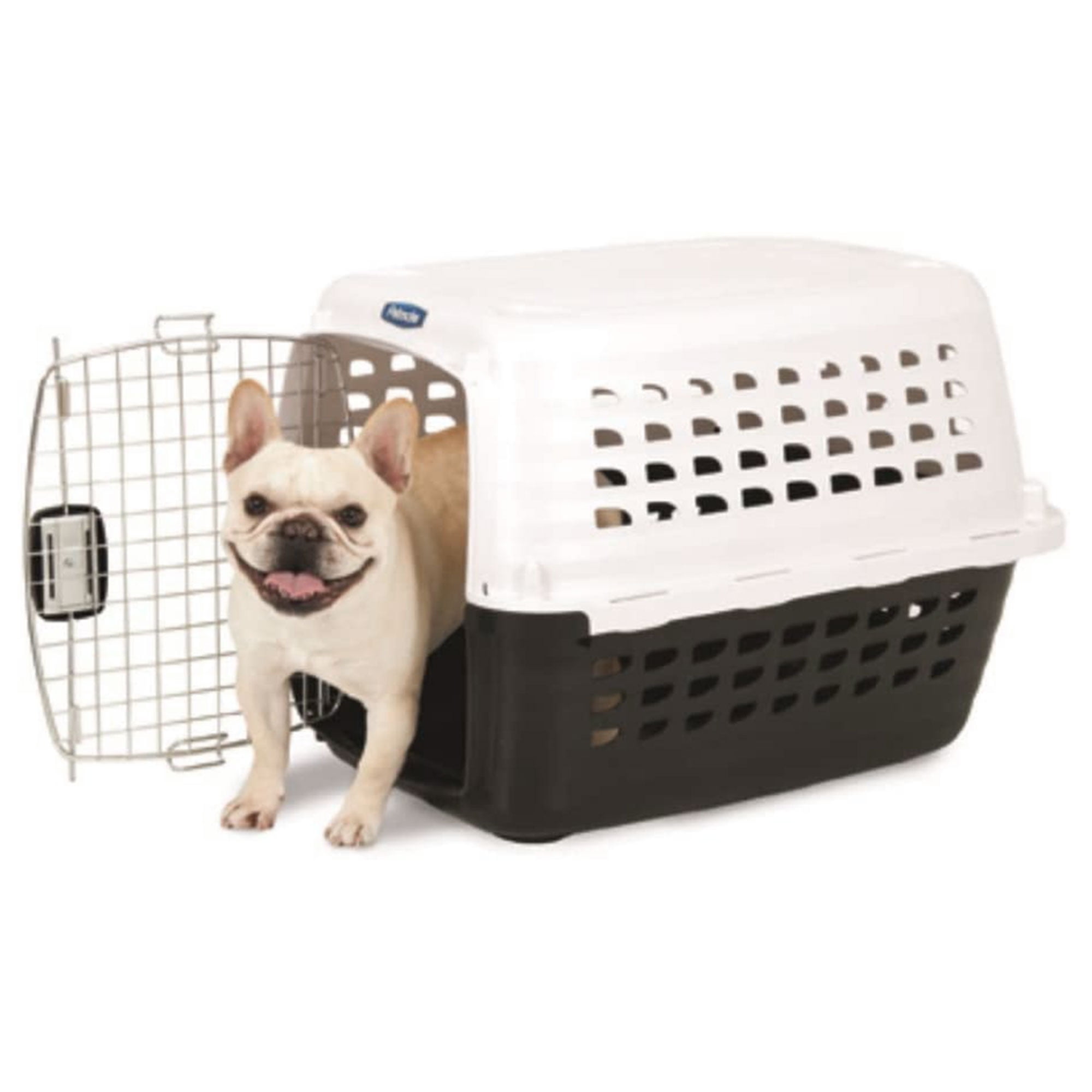 Petmate Compass Dog Kennel 20 30 lbs 28 Walmart