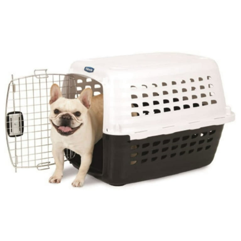 Amazon.com : Petmate Compass Fashion Kennel Cat and Dog