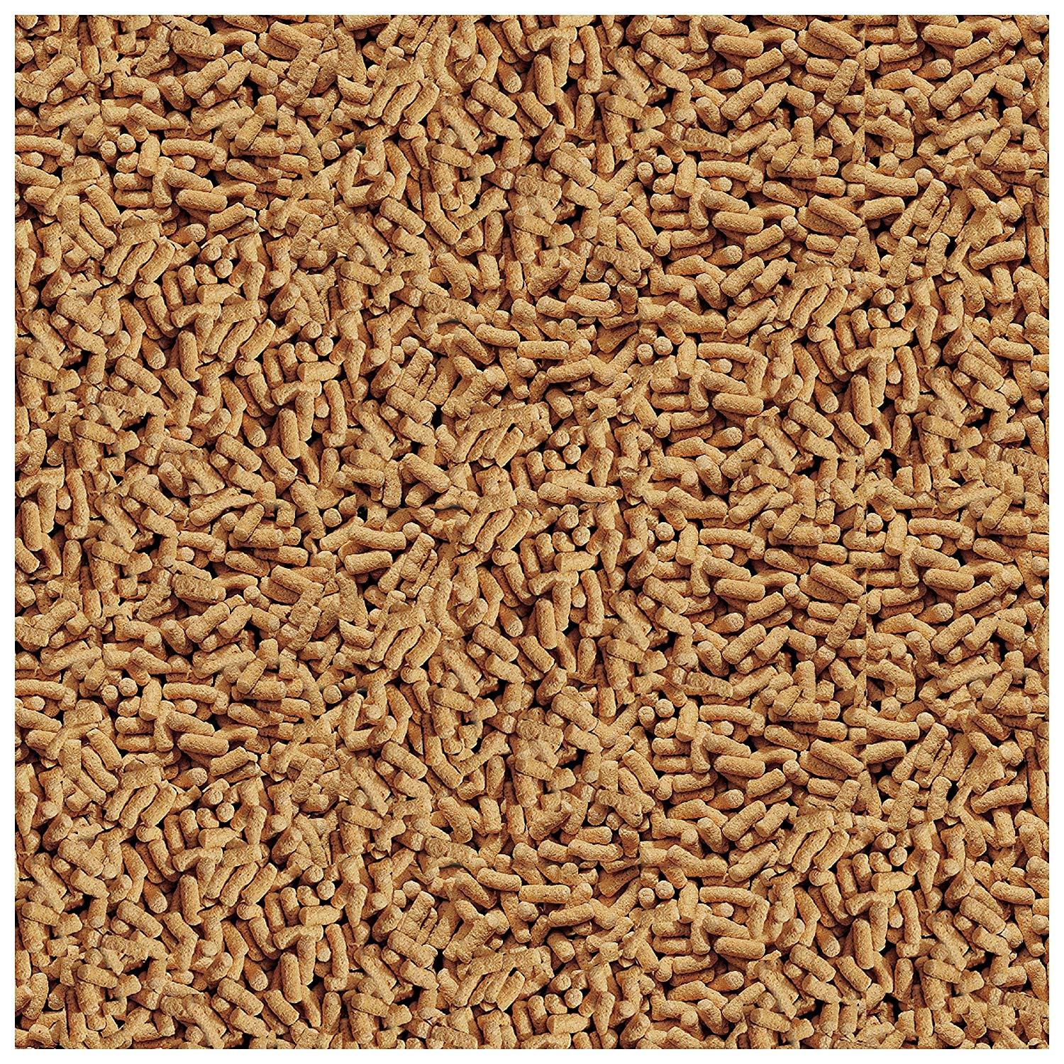 Tetra Pond Sticks Fish Food for Goldfish & Koi, 1.72 lb photo 7