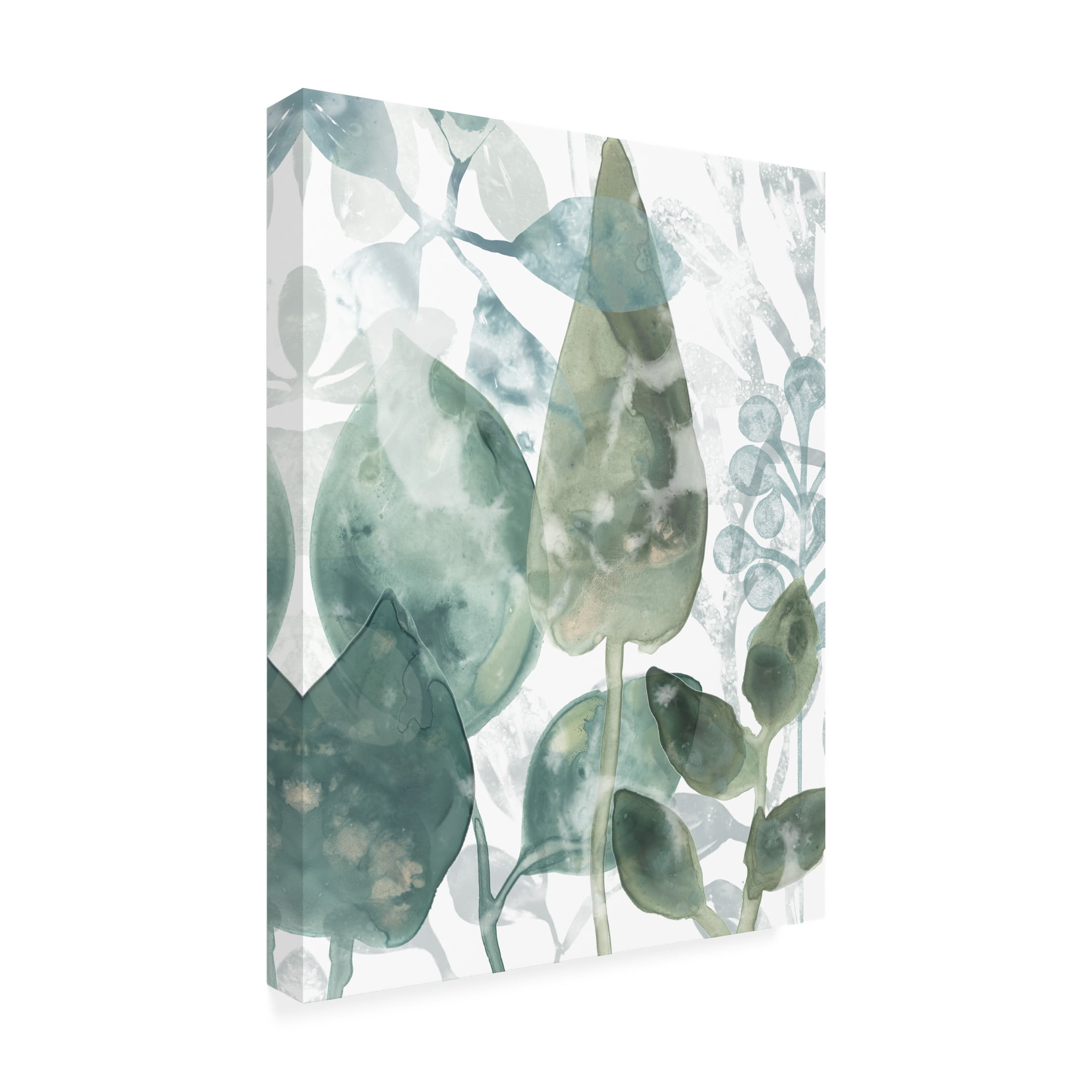 June Erica Vess 'Aquatic Leaves II' Canvas Art