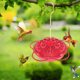 thumbnail image 5 of Comedero para Colibríes con Forma de Flor Roja Colgante con Forma de Gancho, 5 of 6