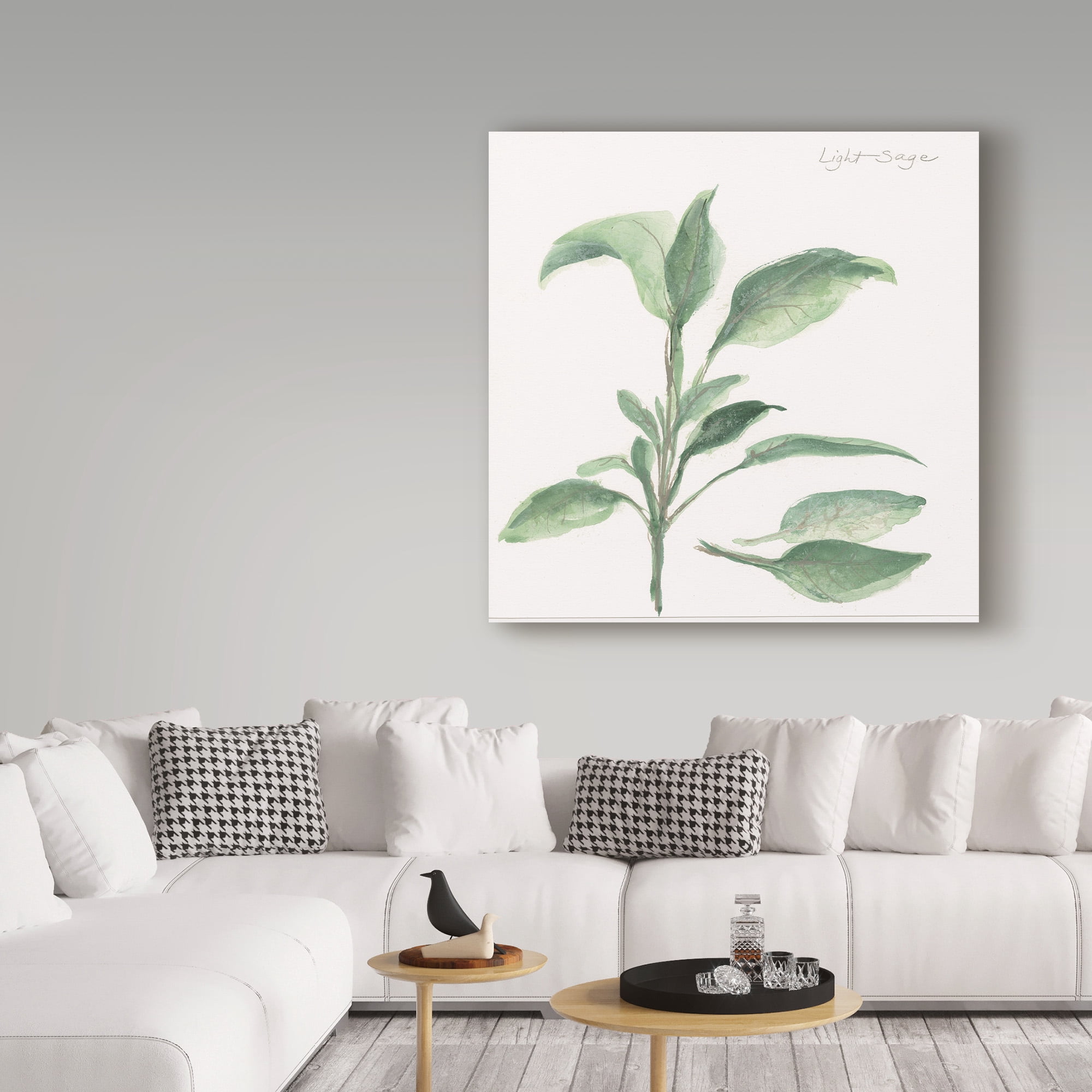 Trademark Fine Art 'Sage II' Canvas Art by Chris Paschke
