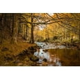 thumbnail image 2 of Murdock, Ramona 18x13 Gold Ornate Wood Framed with Double Matting Museum Art Print Titled - Black Forest River, 2 of 4