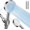 Light silver, variant on Filtered Shower with Handheld, 6- High Shower to Dry Itchy , Handheld Shower Set Includes 60" Hose & Adjustable Bracket