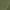 Green, variant on BLVB Biker Shorts for Women High Waist Cargo Athletic Shorts Butt Lifting Workout Running Shorts with Flap Pockets