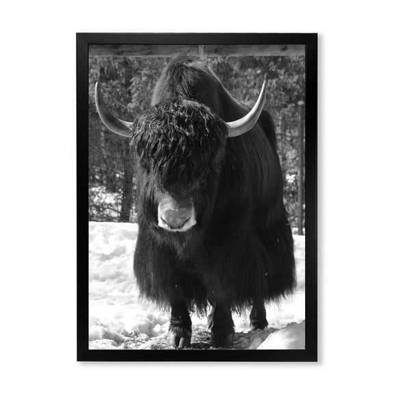 Designart 'Portrait Of Monochrome Wild Bull In Winter Forest I' Farmhouse Framed Art Print