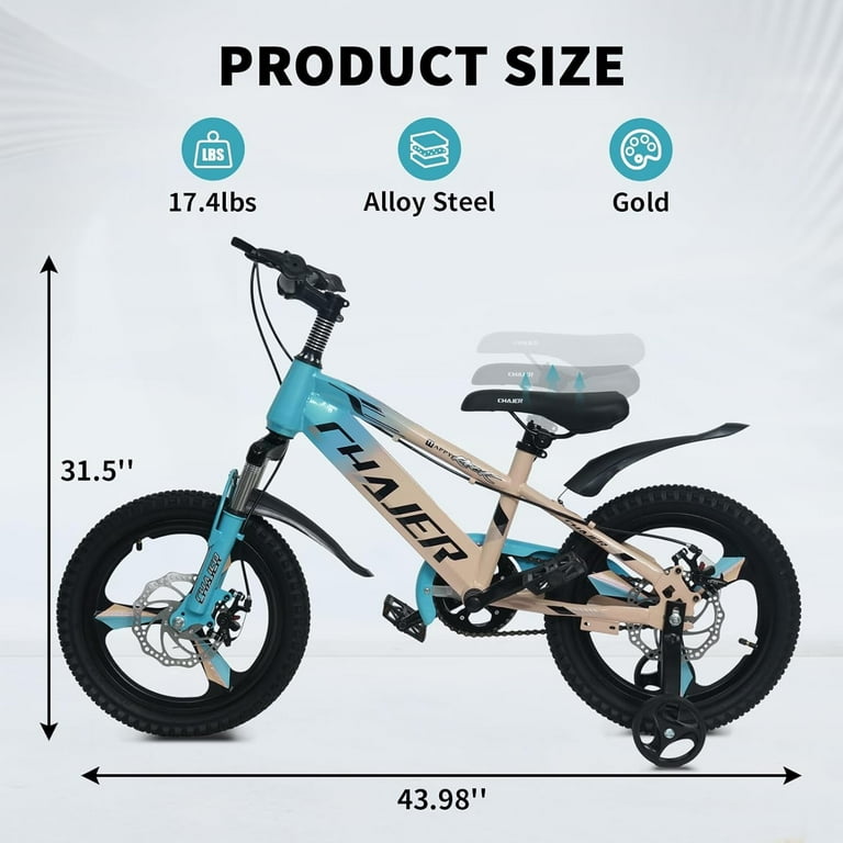 Fat tire bike with training wheels sale