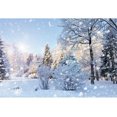 thumbnail image 3 of Fondos fotográficos con escena de nieve y árboles en el bosque invernal de Yeele para sesión fotográfica, decoración, fondos fotográficos para estudio fotográfico, 3 of 5