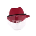 thumbnail image 1 of Romantic Bird Long-lasting Waterproof Non-stick Cup Lazy Blush Makeup, 1 of 2