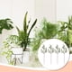 thumbnail image 5 of Billuyoard 4 unids/set flores y plantas simuladas hechas a mano para tu jardín hojas de Milán plantas verdes portátil encantador Decoración, 5 of 6