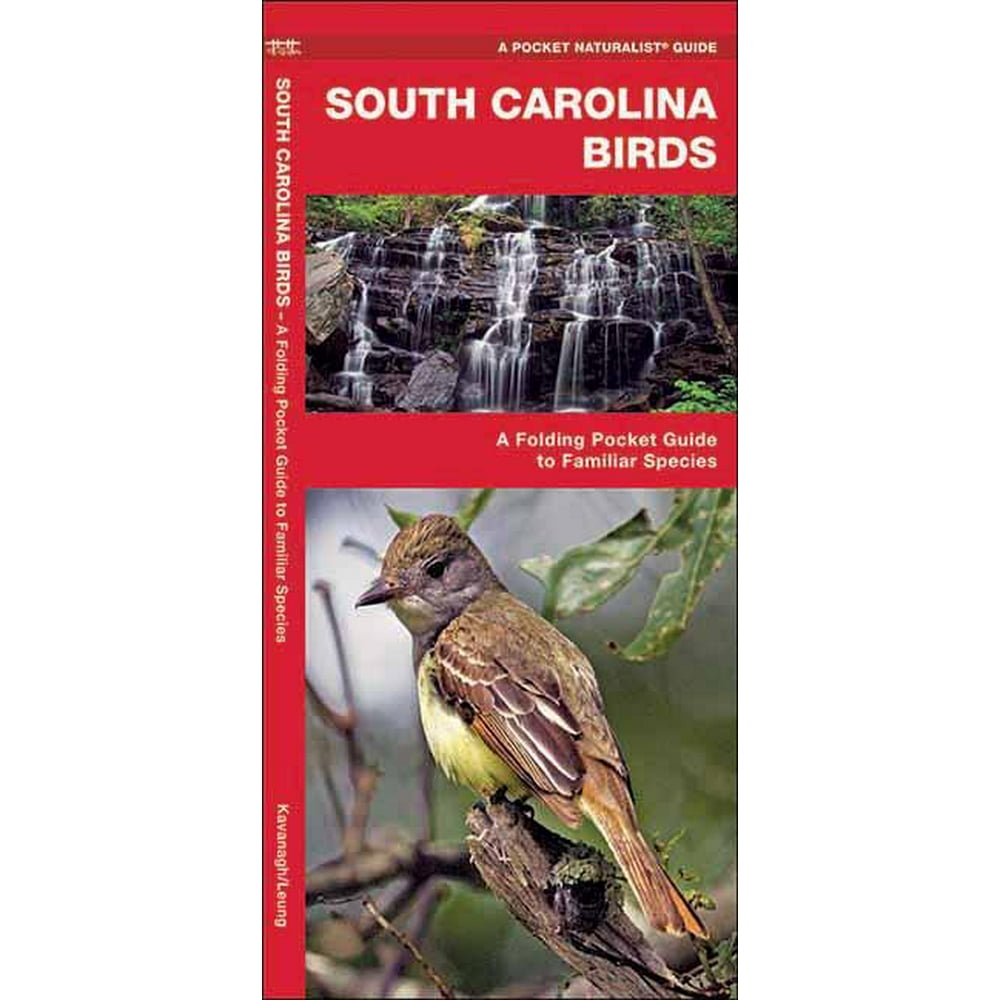 State Nature Guides South Carolina Birds A Folding Pocket Guide to