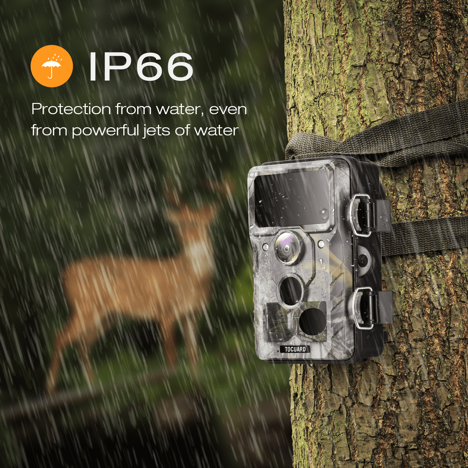 toguard trail camera 20mp