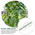 thumbnail image 1 of Tomato Plant Support Stand, Heavy Duty Steel Garden Stake for Climbing Vegetables, 3 Pack Rustproof Plant Trellis Indoor Outdoor Use, 1 of 2