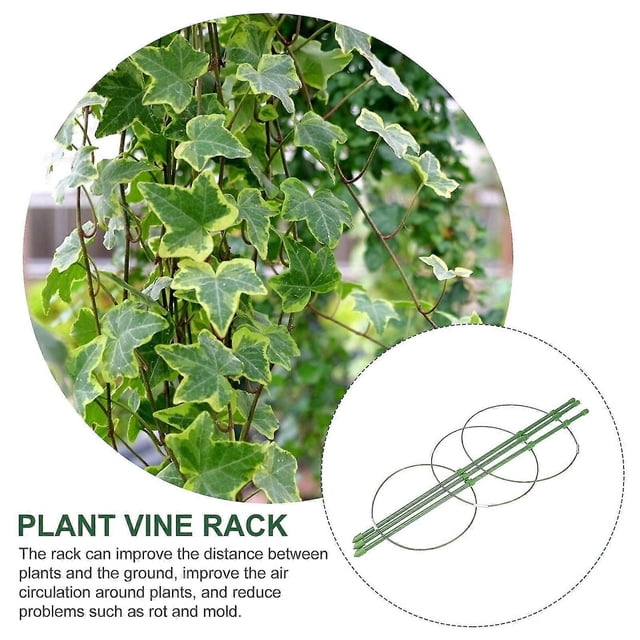 Tomato Plant Support Stand, Heavy Duty Steel Garden Stake for Climbing Vegetables, 3 Pack Rustproof Plant Trellis Indoor Outdoor Use