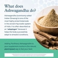 thumbnail image 4 of Youtheory Ashwagandha+GABA, 60 Vegetarian Capsules, 4 of 7