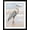 Black Frame, variant on Art.com Beach Heron I Art Print by Ethan Harper, 12" x 16"