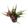 thumbnail image 3 of NICEXMAS Violet Artificial Potted Plant Decoration for Indoor Desktop Use, 3 of 8