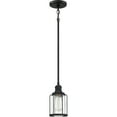 thumbnail image 4 of Quoizel Ludlow 5" Pendant Light in Earth Black, 4 of 4