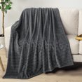thumbnail image 2 of PAVILIA Soft Lightweight Twin Fleece Blanket for Couch Bed, Grey, 60x80, 2 of 8