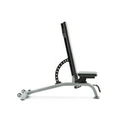 NordicTrack Adjustable Weightlifting Bench with Comfortable Padded Seat and Incline/Decline Functionality