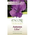 thumbnail image 2 of Encore Azalea Autumn Lilac (3 Gallon) Purple Flowering Shrub - Full Sun Live Outdoor Plant, 2 of 4