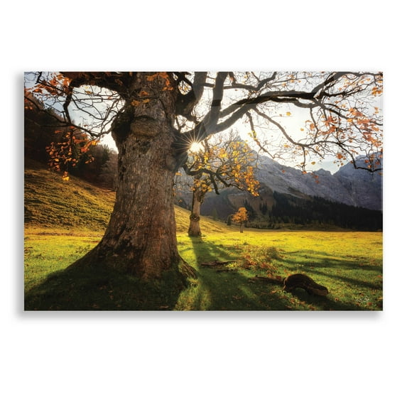 Epic Art 'The Star' by Martin Podt, Acrylic Glass Wall Art, 24"x16"