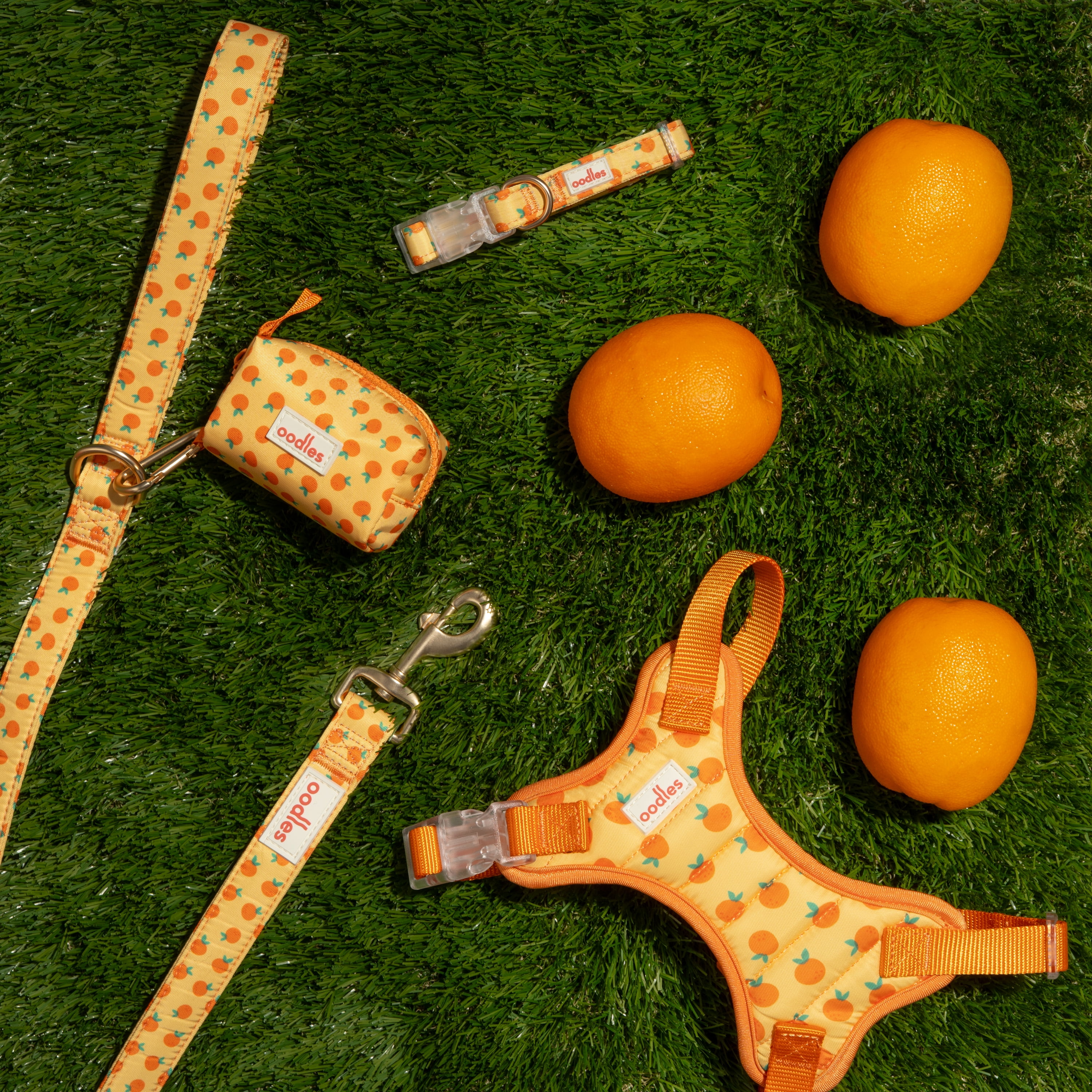 Oodles Sweet Citrus Dog Walking Harness, Medium